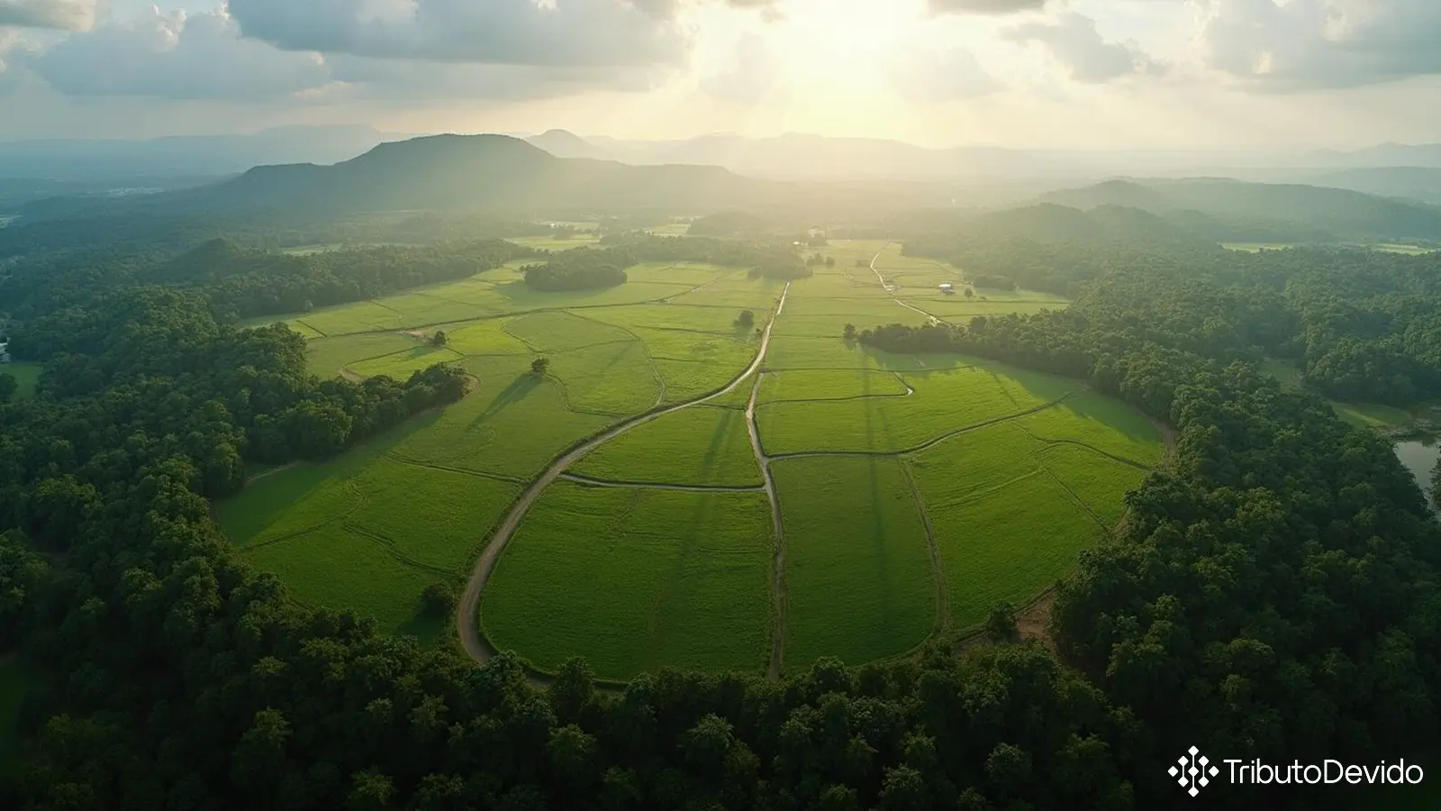 exclusão-florestas-nativas-base-cálculo-ITR